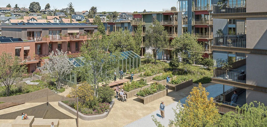 Serre communautaire et potagers partagés au cœur du quartier En Carouge